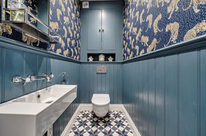 Ground floor cloakroom- click for photo gallery